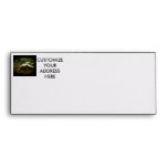 African Side Necked Turtle Photograph Envelopes