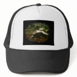 African Side Necked Turtle Photograph Hat