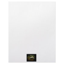 African Side Necked Turtle Photograph Personalized Letterhead