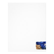 African Sideneck Turtle and Blue tinsel with star Letterhead Design