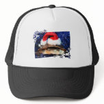 African sideneck turtle wearing santa hat