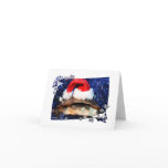 African sideneck turtle wearing santa hat cards