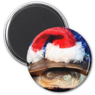 African sideneck turtle wearing santa hat magnet