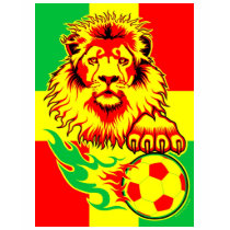 African Soccer Lion t-shirts