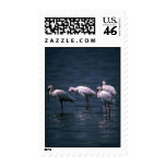 African Spoonbills Postage Stamp