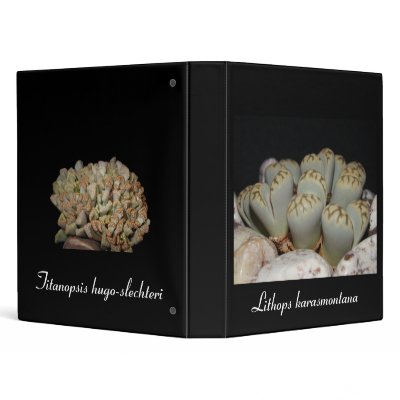 African succulents vinyl binders by Drakarian