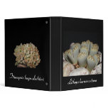 African succulents vinyl binders