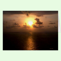 African  Sunset 3 cards