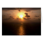 African  Sunset 3 cards