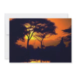 African sunset, Arusha National Park, Tanzania Invitations