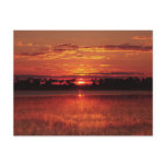 African sunset Botswana postcards