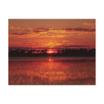 African sunset Botswana postcards
