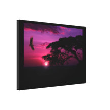 African Sunset Canvas Print