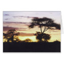 African Sunset cards by HLBeach African Sunset cards