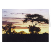 African Sunset cards by HLBeach African Sunset cards