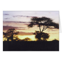 African Sunset Greeting Cards