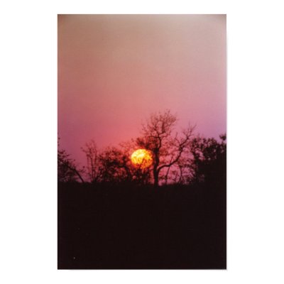 African Sunset Posters by KalahariSue