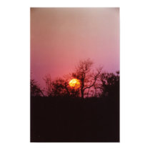 African Sunset posters
