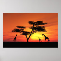 African Sunset Posters