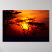 African Sunset Poster posters