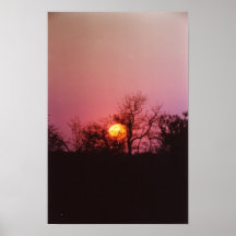 African Sunset Posters