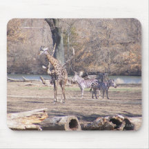 African Velt Mouse Pad
