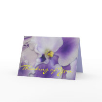 African Violet cards