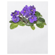 African violet custom flyer