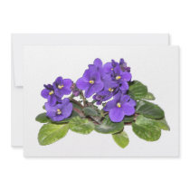 African violet custom invites