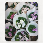 African violet mouse pads