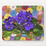 African violet mouse pads