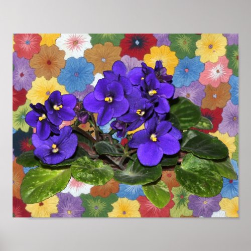 African violet print