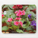 African Violet Pots Mousepad by CaroleArt African Violet Pots Mousepad
