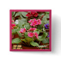 African Violet Pots Pin buttons by CaroleArt African Violet Pots Pin buttons