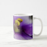 African Violet (Purple and White) Mugs