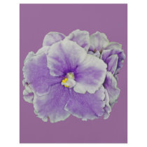 African Violet Purple flyers