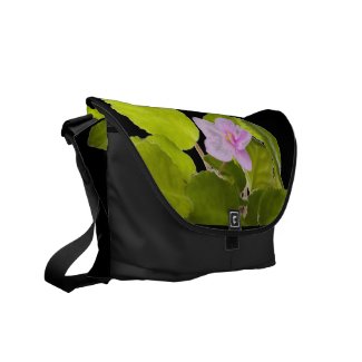 african violet - saintpaulia ionantha courier bags