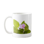 african violet - saintpaulia ionantha mugs