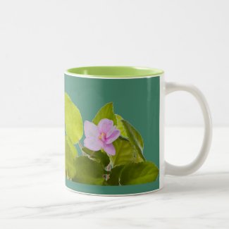 african violet - saintpaulia ionantha Two-Tone coffee mug