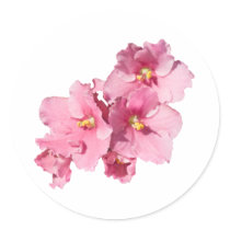 African Violet stickers