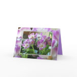 African Violets Cards