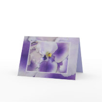 African Violets cards