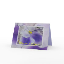 African Violets cards