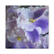 African Violets magnets by ggbythebay African Violets magnets