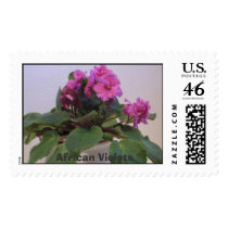 African Violets postage by JLWinther African Violets postage