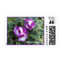 African Violets Postage Stamps