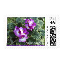 African Violets Postage Stamps