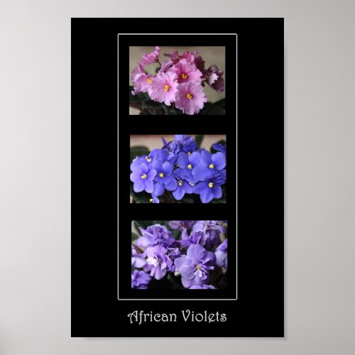 African Violets print