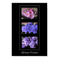 African Violets posters by Classic_Cat African Violets posters