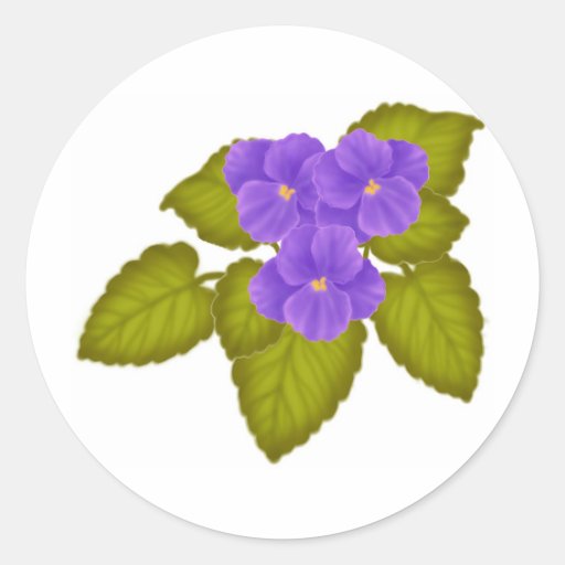 African Violet Gifts TShirts, Art, Posters & Other Gift Ideas Zazzle